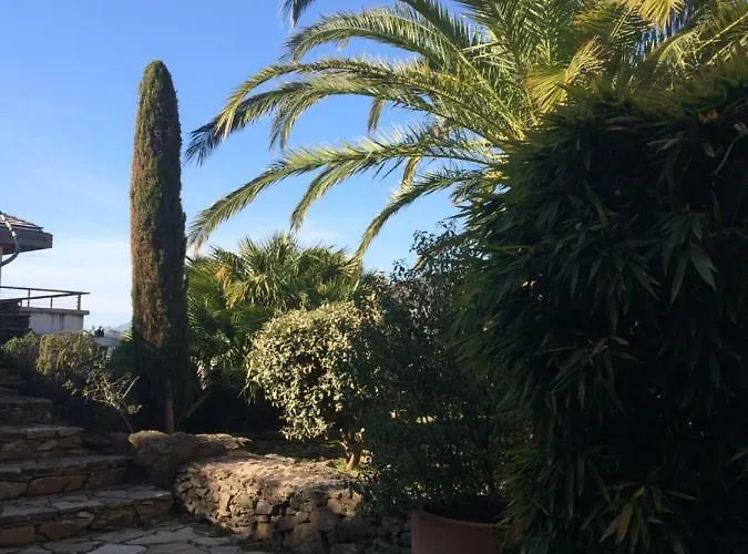 Jardins En Appartement Bastia (Corsica)