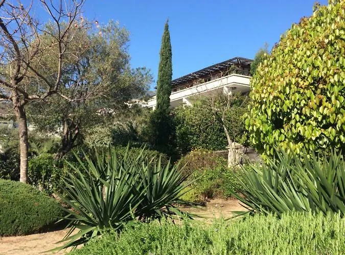 Jardins En Bastia (Corsica)