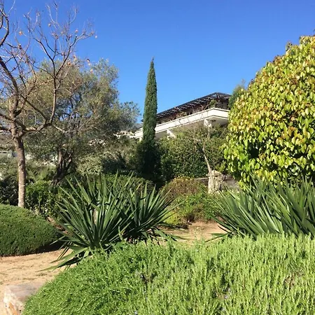 Jardins En Bastia (Corsica)